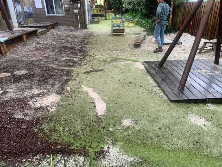 Before